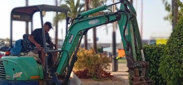 L’Ajuntament de Peníscola inicia l’ampliació de l’arbratge a la ciutat