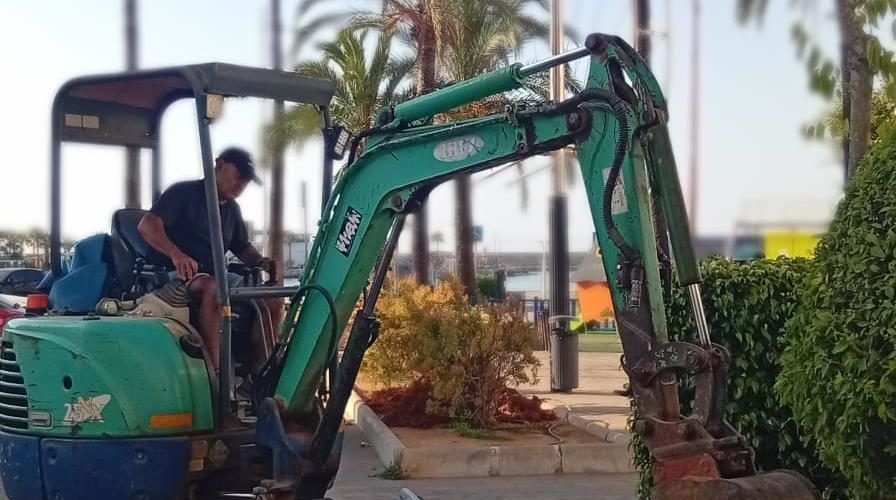 L’Ajuntament de Peníscola inicia l’ampliació de l’arbratge a la ciutat