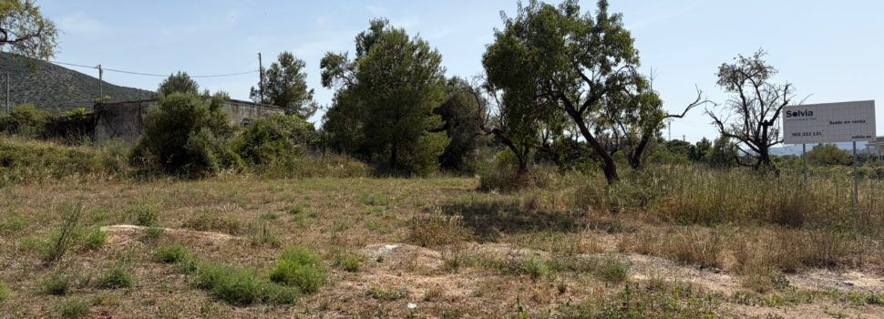 La Sareb dona dos solars urbans a Santa Magdalena per a ús públic i social