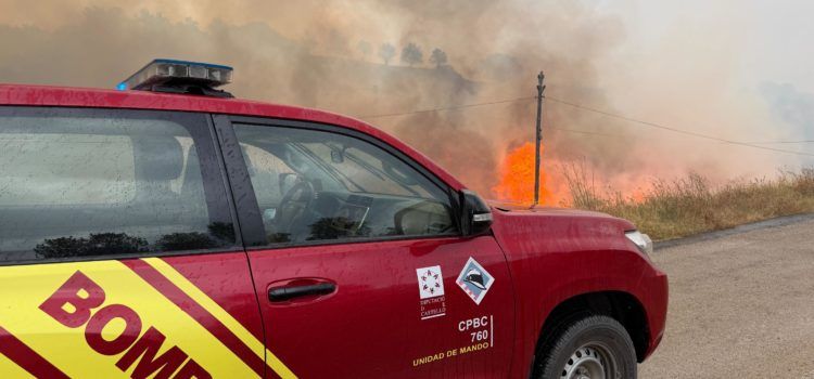 Incendio forestal declarado en Forcall