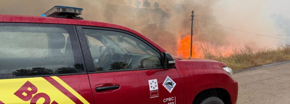 Incendio forestal declarado en Forcall