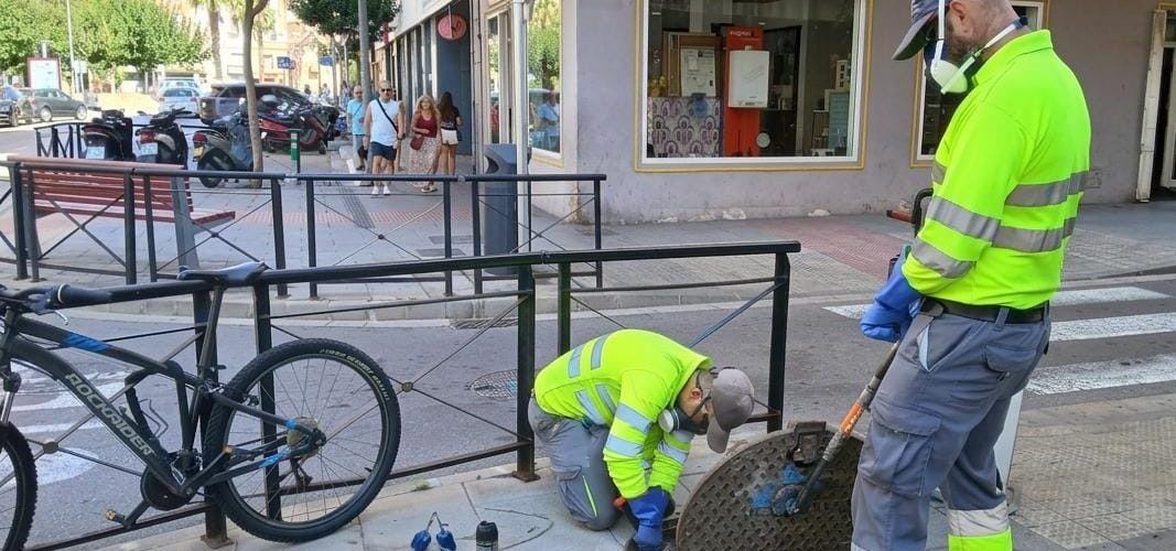 L’Ajuntament intensifica la campanya de desinsectació del clavegueram