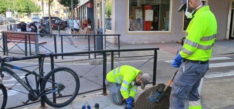 L’Ajuntament intensifica la campanya de desinsectació del clavegueram