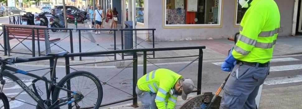 L’Ajuntament intensifica la campanya de desinsectació del clavegueram