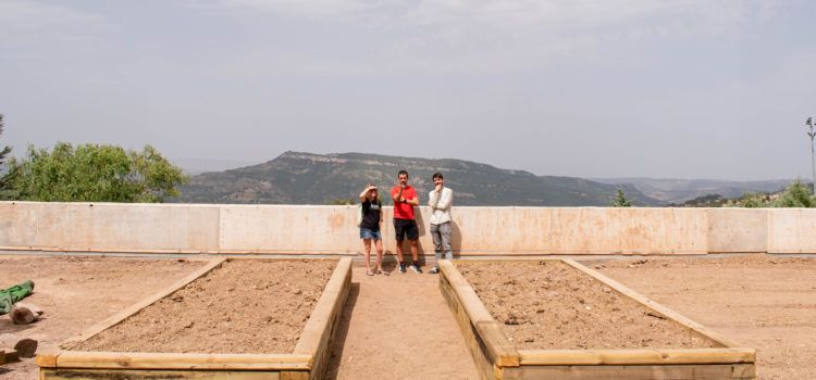 Millores al CEIP Mare de Déu de Vallivana de Morella