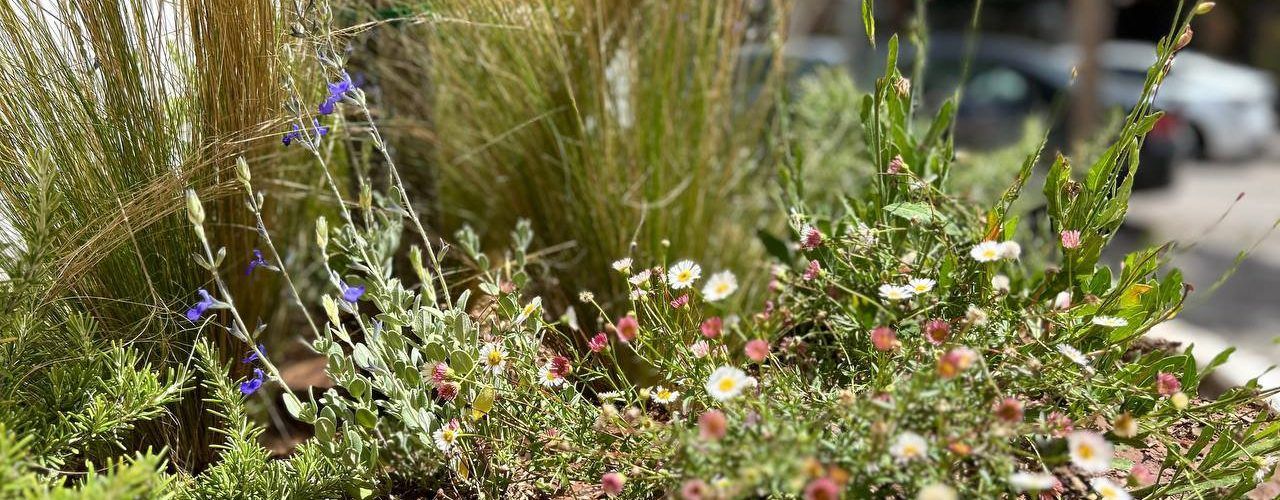 L’Ajuntament d’Amposta treu a licitació un nou contracte de jardineria per valor de 3,27M€