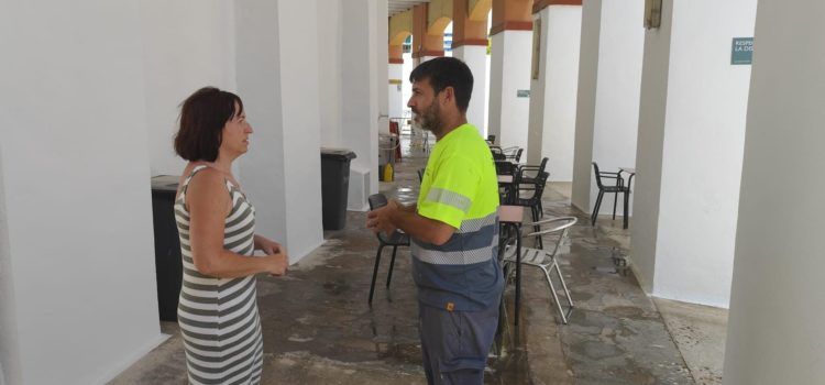 Els alumnes del taller d’ocupació Vinaròs Inserta adeqüen la plaça de bous