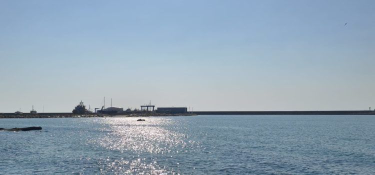 Nivell de risc roig per calor al Maestrat i Els Ports