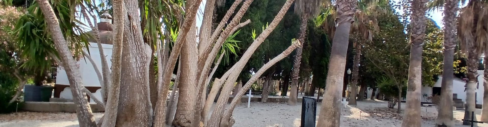 L’Ajuntament de Càlig destina 10.000 euros de fons propis a la millora del cementeri municipal