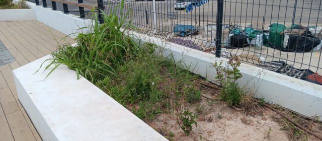 Compromís per Benicarló denuncia l’estat d’abandonament i la falta de manteniment de la via pública i les zones verdes de la zona litoral