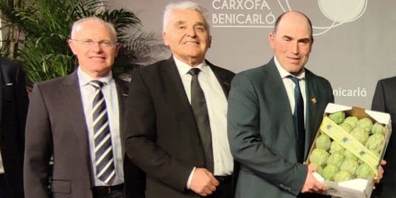 José Antonio Simó, nuevo secretario del Consejo Regulador de la DOP Alcachofa de Benicarló