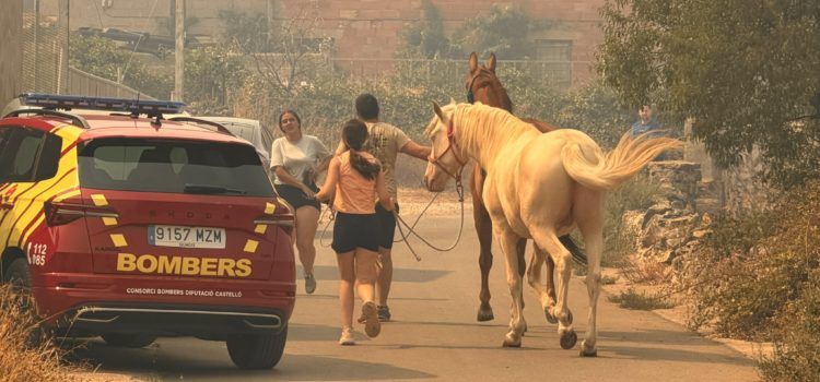 Evacuació de Catí per l’incendi