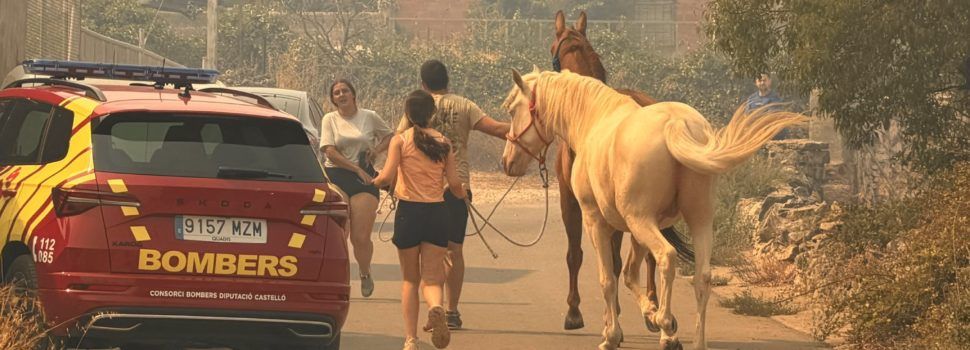 Evacuació de Catí per l’incendi