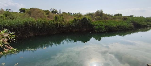 El “parte” del temps: la cosa no té pinta de canviar pel que fa a les temperatures