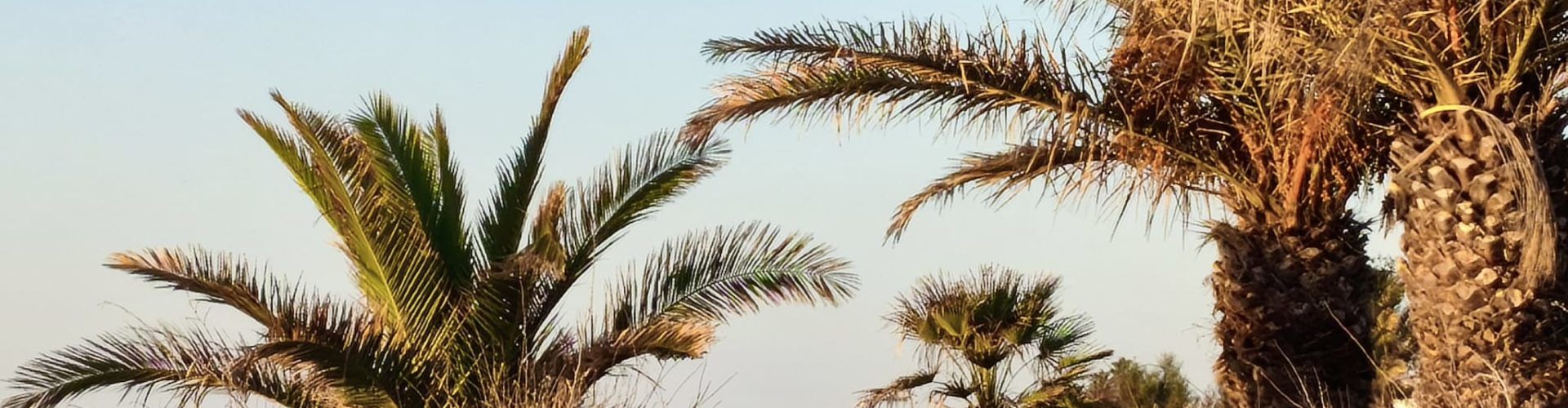 El “parte” del temps:fins dimarts temperatures no massa caloroses