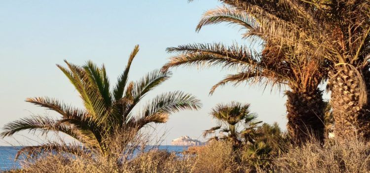 El “parte” del temps:fins dimarts temperatures no massa caloroses