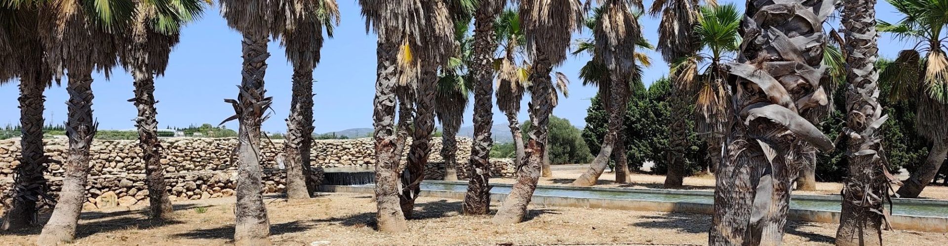Vora l’Ebre: D’aquella pols, venen aquests fangs