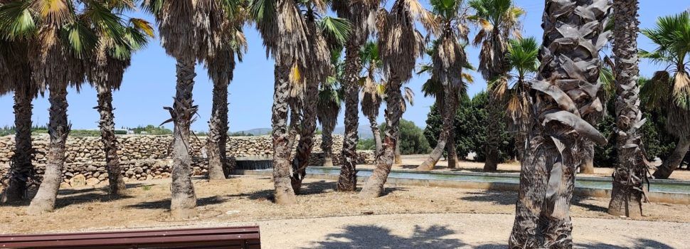 Vora l’Ebre: D’aquella pols, venen aquests fangs