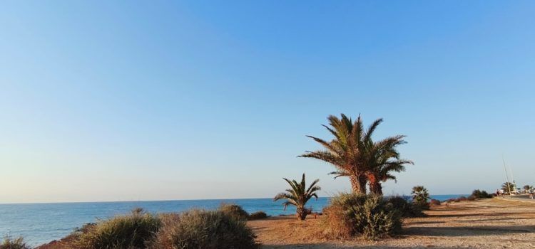 El “parte” del temps: història d’un esclafit gens humit
