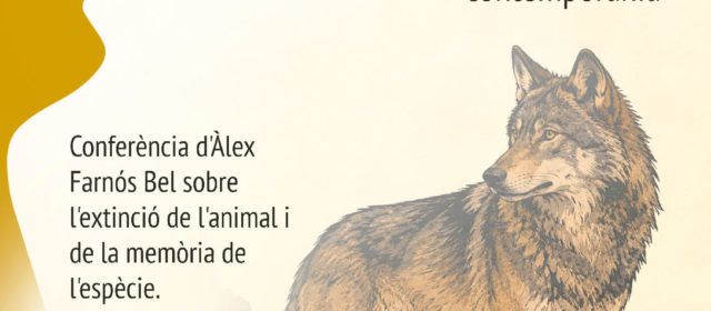 El llop als Ports: de bèstia perseguida a espècie protegida