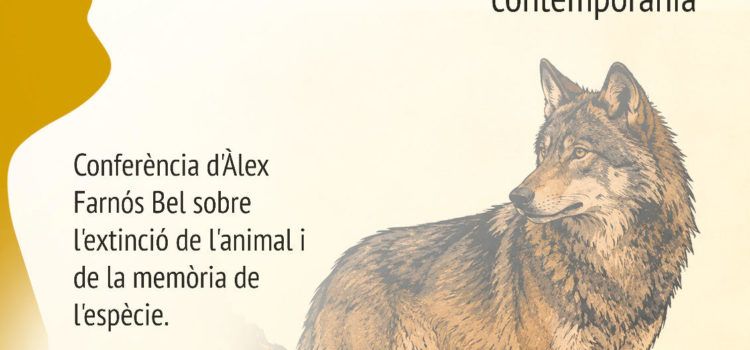 El llop als Ports: de bèstia perseguida a espècie protegida
