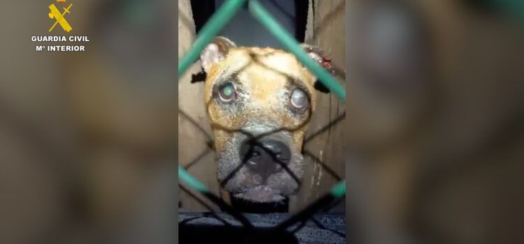 La Guardia Civil investiga a una vecina de les Cases d’Alcanar por el abandono y muerte de su perro