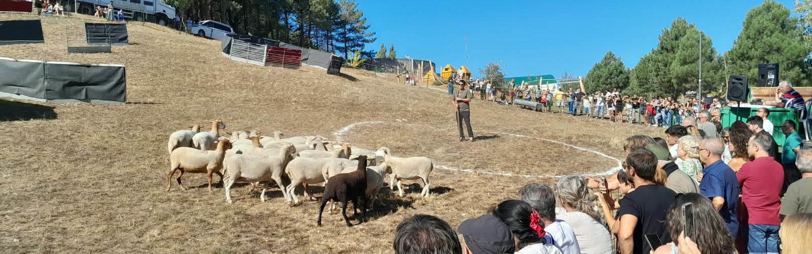 Molta participació a la Fira de Morella 2026 i les activitats programades del cap de setmana