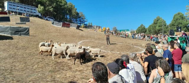 Molta participació a la Fira de Morella 2026 i les activitats programades del cap de setmana
