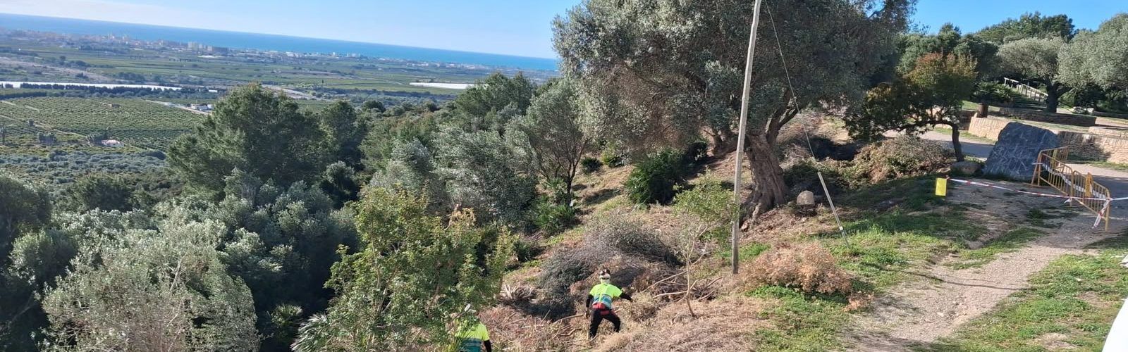 Vinaròs rep una subvenció de 5.423 euros per a reforçar la prevenció d’incendis forestals