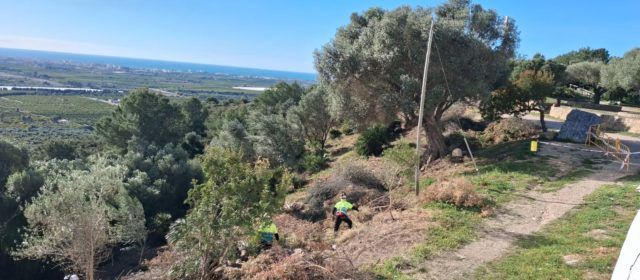 Vinaròs rep una subvenció de 5.423 euros per a reforçar la prevenció d’incendis forestals