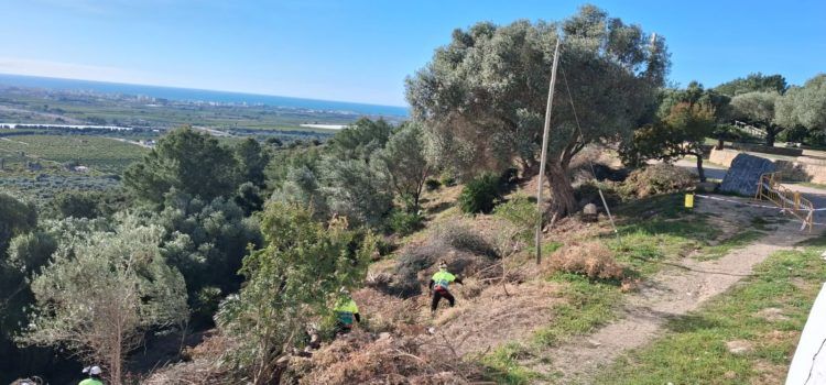 Vinaròs rep una subvenció de 5.423 euros per a reforçar la prevenció d’incendis forestals
