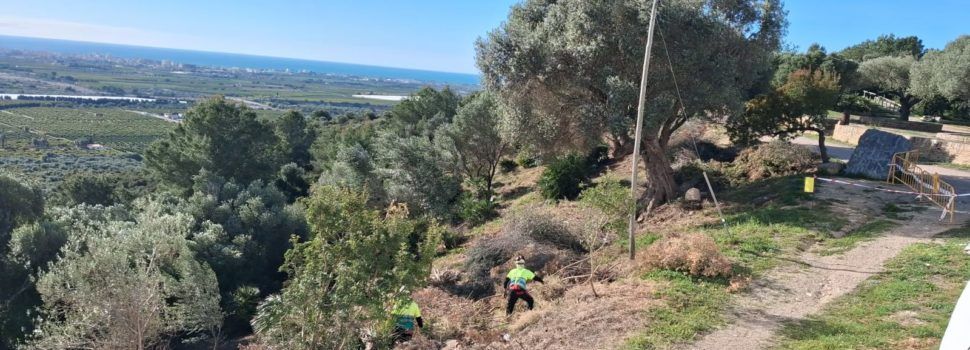 Vinaròs rep una subvenció de 5.423 euros per a reforçar la prevenció d’incendis forestals