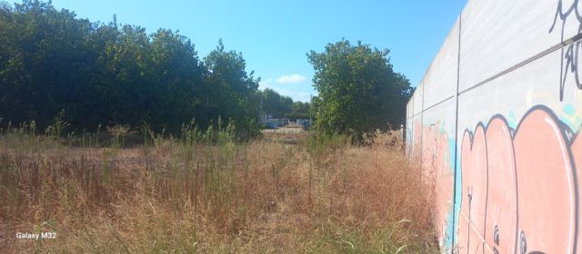 Benigazlum Tot per Benicarló reclama una estació d’autobusos “digna, moderna, funcional i amb vocació comarcal”