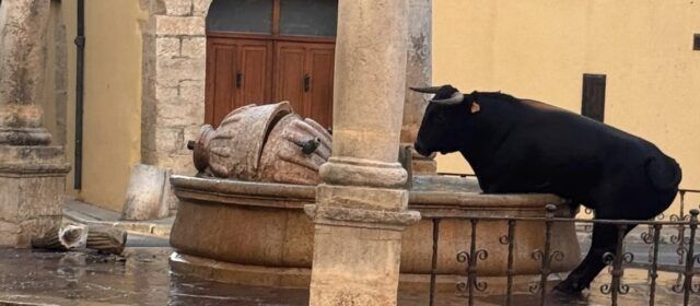 VOX exige a la alcaldesa socialista de Sant Mateu que proteja la Fuente de Santa María después de que un toro rompiera el monumento