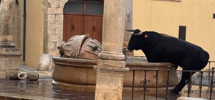 VOX exige a la alcaldesa socialista de Sant Mateu que proteja la Fuente de Santa María después de que un toro rompiera el monumento