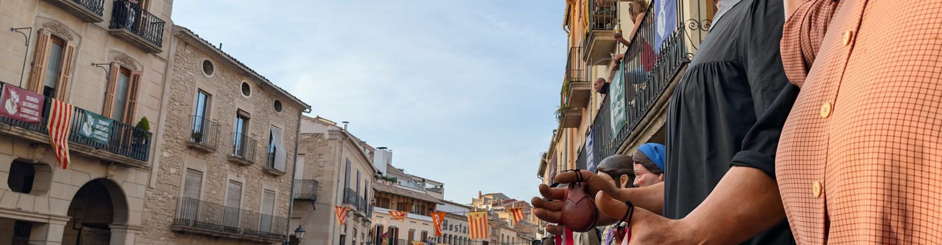 La Colla de Nanos i Gegants de Vinaròs en la XXX Gran Trobada Gegantera a les Borges Blanques