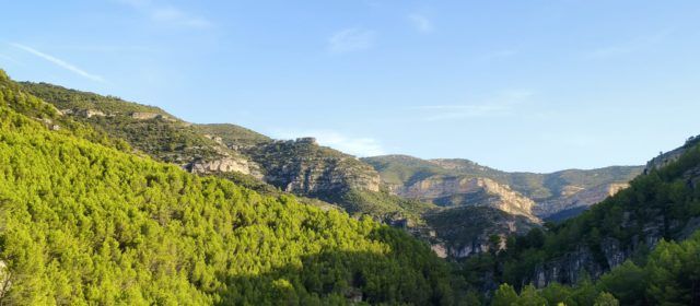 El “parte” del temps: Aquesta tarde, brisa de garbí, o vent de Peníscola o ventet de les birbadores
