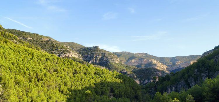El “parte” del temps: Aquesta tarde, brisa de garbí, o vent de Peníscola o ventet de les birbadores