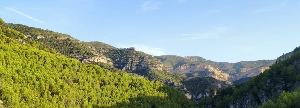 El “parte” del temps: Aquesta tarde, brisa de garbí, o vent de Peníscola o ventet de les birbadores