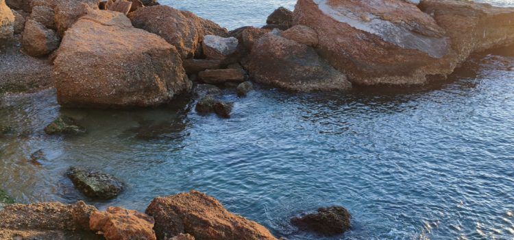El “parte” del temps: demà farà més caloreta i dimarts encara més, afluixant de cara a dimecres