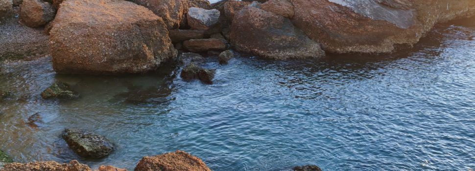 El “parte” del temps: demà farà més caloreta i dimarts encara més, afluixant de cara a dimecres