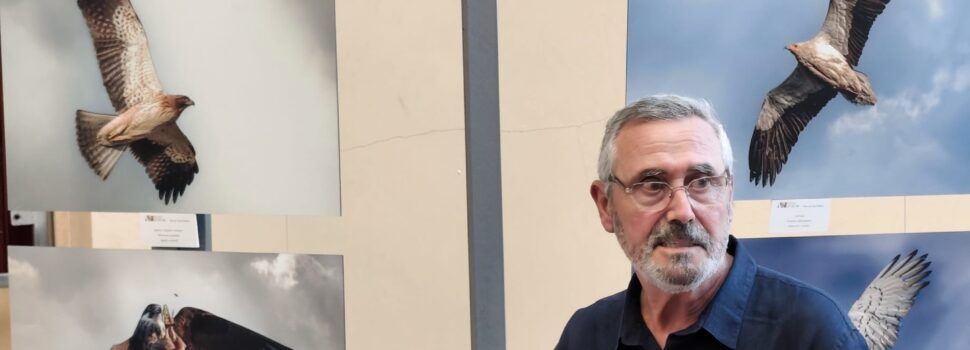L’Ateneu de Natura exposa fotos de rapinyaires al Museu de les Terres de l’Ebre