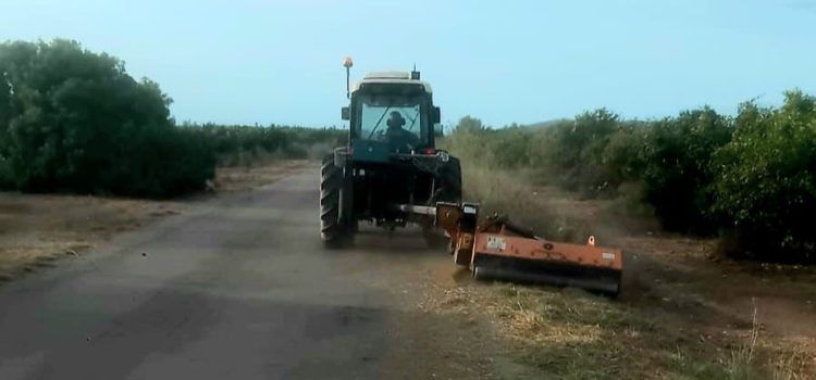 La Regidoria d’Agricultura de Vinaròs reprén el desbrossament dels camins rurals