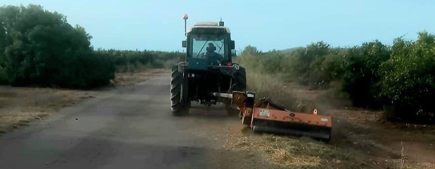 La Regidoria d’Agricultura de Vinaròs reprén el desbrossament dels camins rurals