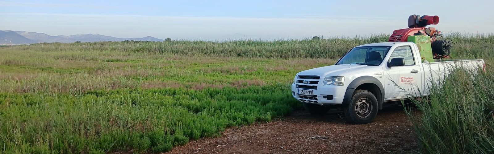 La Diputació destaca el treball efectiu del Servei de Control de Mosquits que manté baix control les poblacions de mosquits