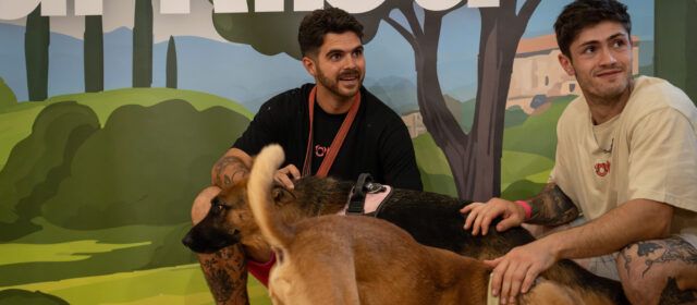 La protectora de Benicarló participará en la II Feria Nacional de Adopciones ‘Adopta un Pana’