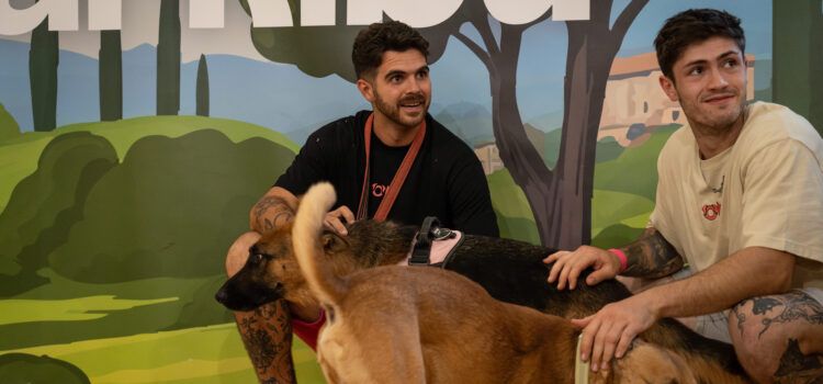 La protectora de Benicarló participará en la II Feria Nacional de Adopciones ‘Adopta un Pana’