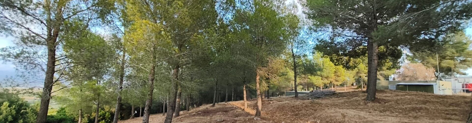 Vinaròs reforça la prevenció d’incendis amb treballs de tractament de vegetació a l’entorn de l’Ermita