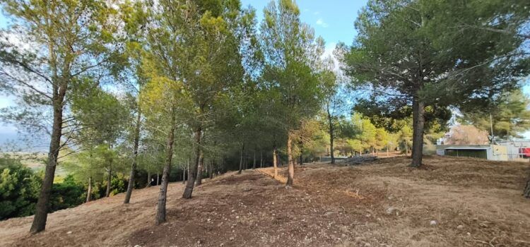 Vinaròs reforça la prevenció d’incendis amb treballs de tractament de vegetació a l’entorn de l’Ermita