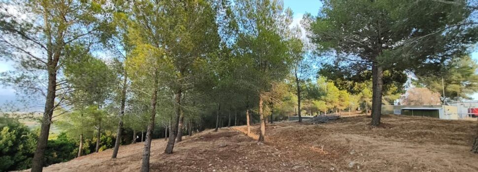 Vinaròs reforça la prevenció d’incendis amb treballs de tractament de vegetació a l’entorn de l’Ermita 